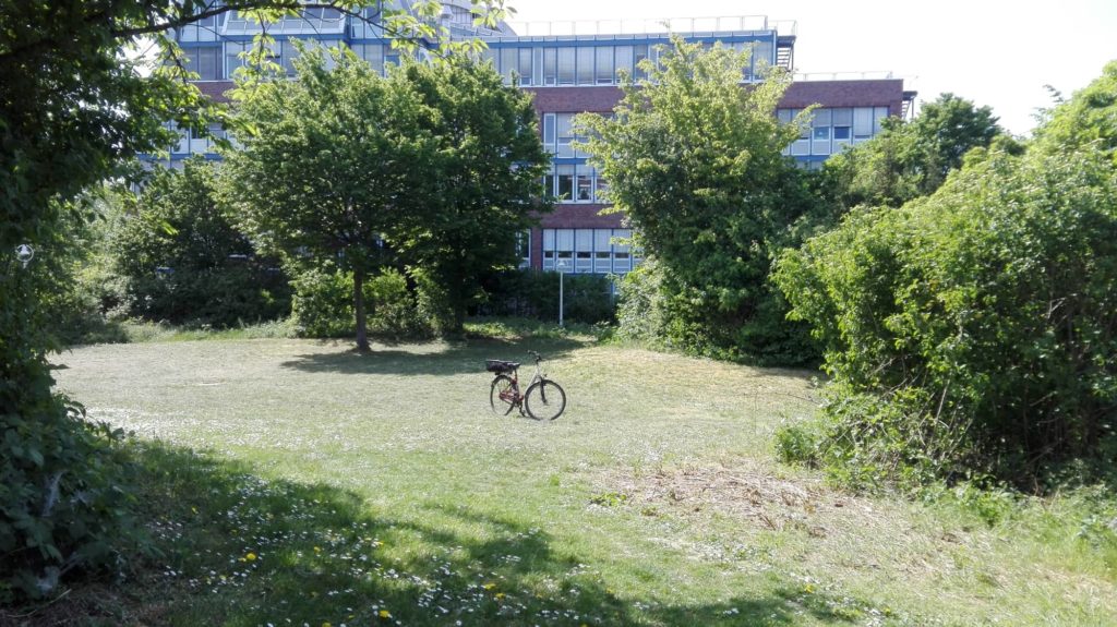 Foto vom Penta-Park, Vangerowstraße