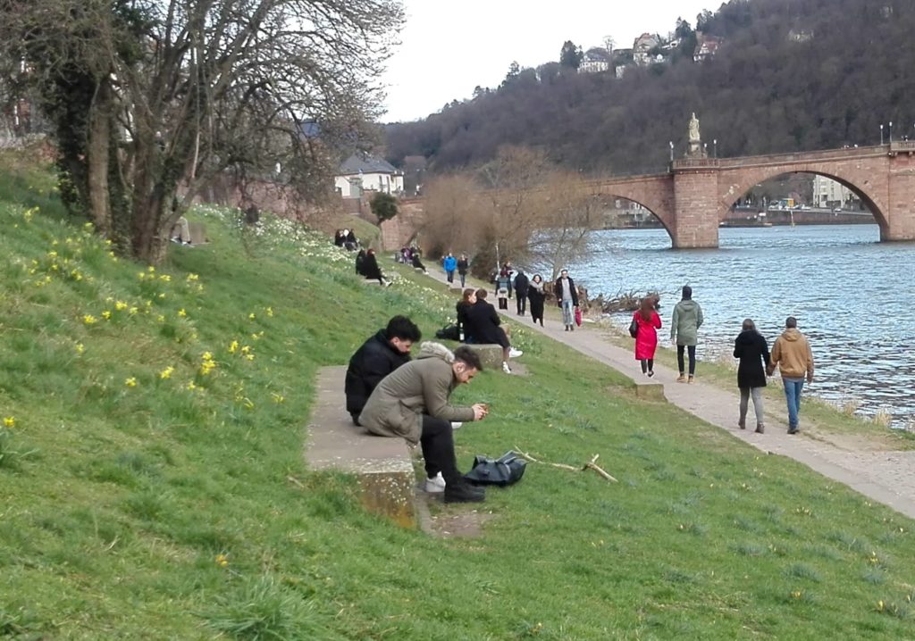 Foto vom nördlichen Neckarufer mit Blick auf die alte Brücke. Viele Leute sitzen auf den Steinbänken im Rasen und genießen die Frühlingssonne.