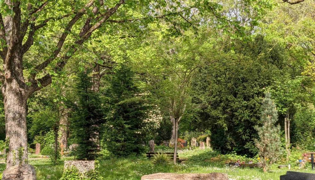 Friedhof Handschuhsheim