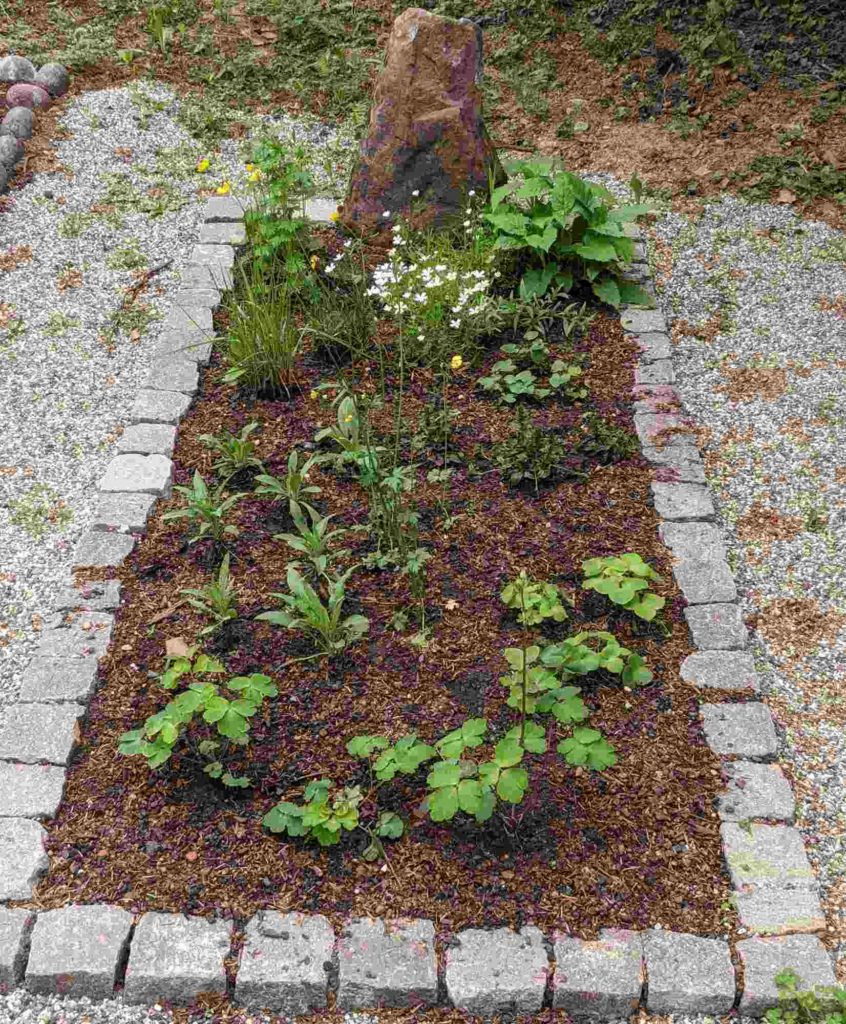 Insektenfreundlicher Friedhof, Insektenfreundliche Grabbepflanzung