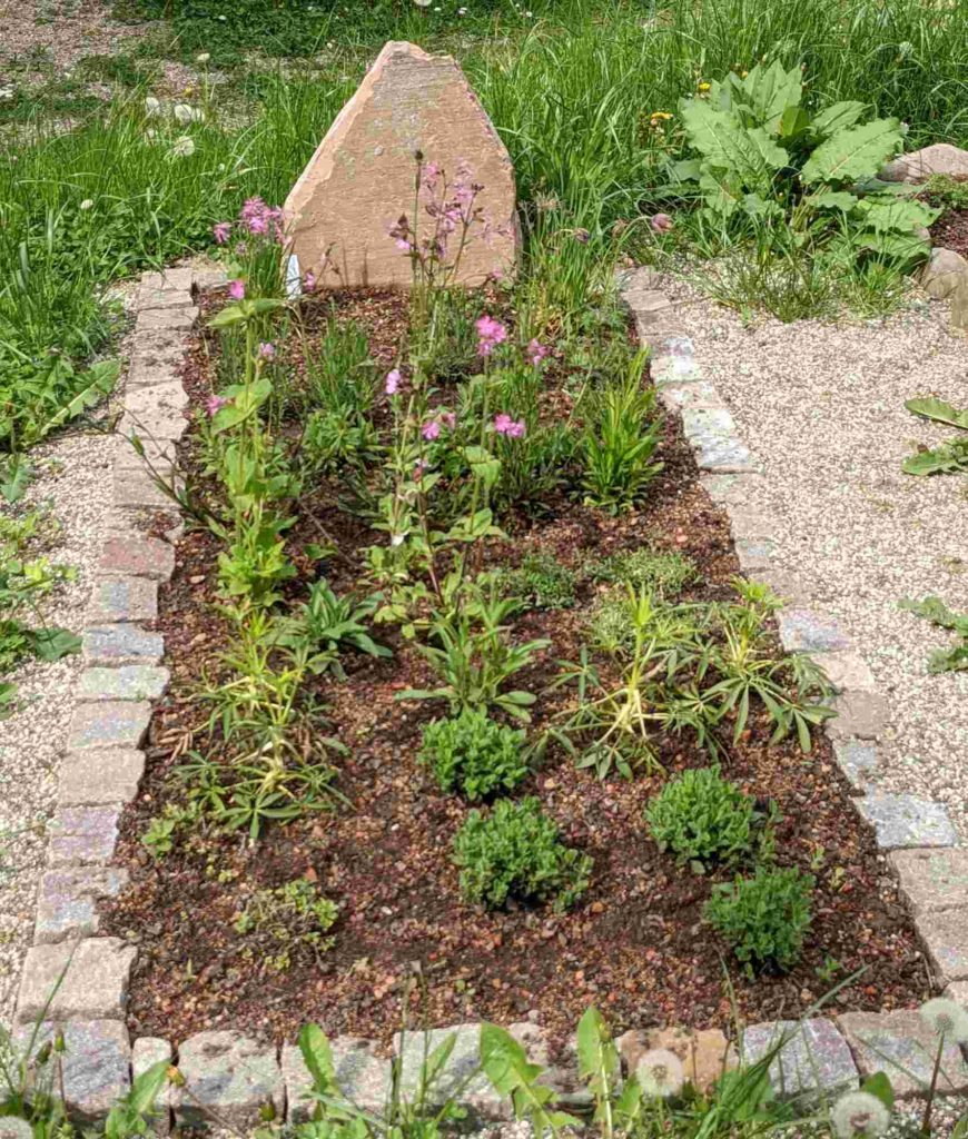 Insektenfreundlicher Friedhof, Insektenfreundliche Grabbepflanzung