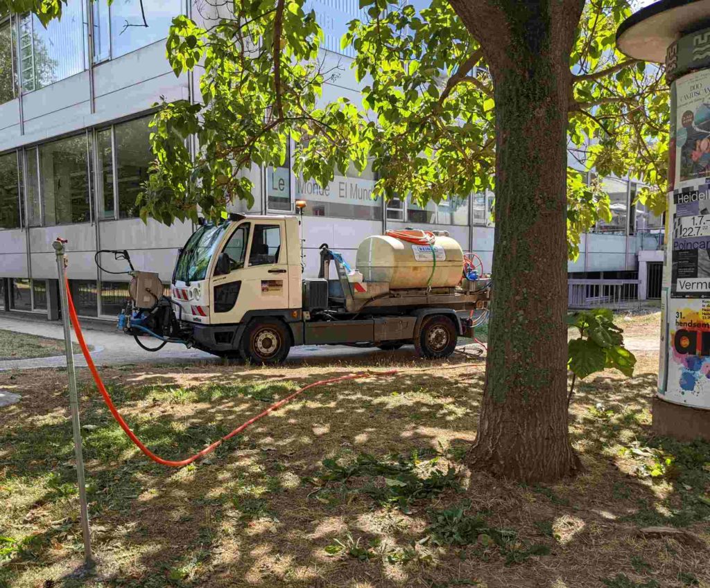 Wässerung eines Baums mit der Wasserlanze, Gießen von Stadtbäumen, Wässerung von Stadtbäumen, Tankwagen, Gießlanze