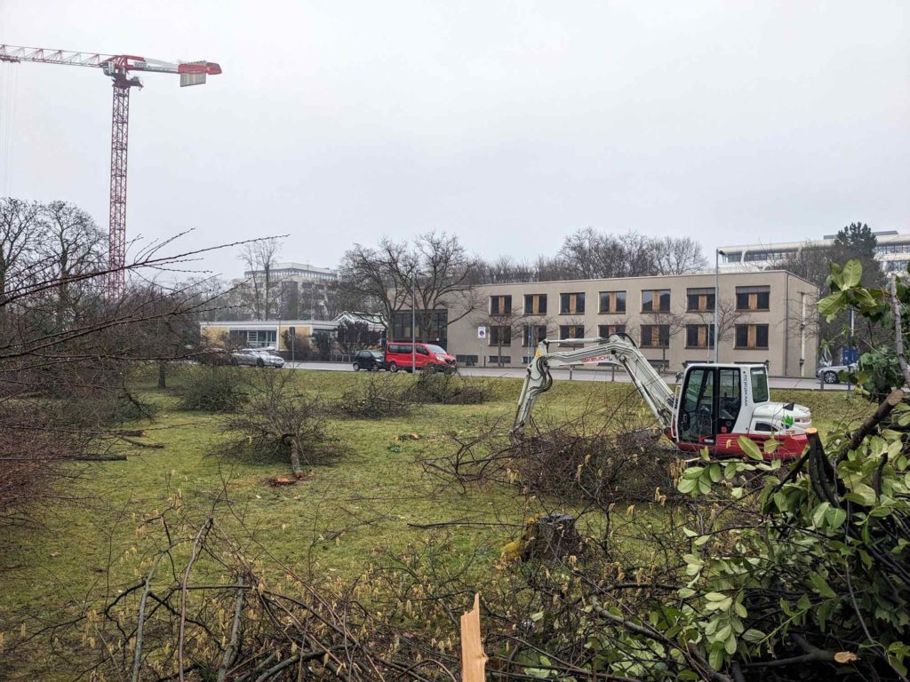 Gerodete Streuobstwiese an der Kirschnerstraße, Heidelberg